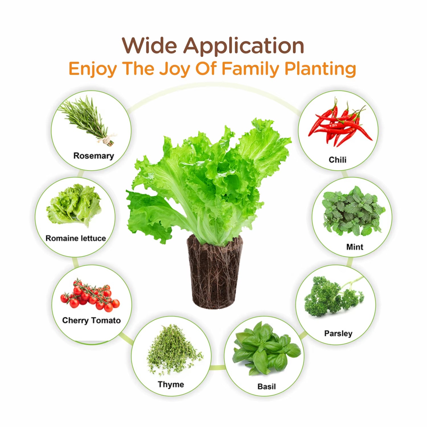 Coconut Coir Hydroponic Equipment with Quick Rooting Sprouting Good Water Absorption Stopper Growth Sponge for Chaff Block