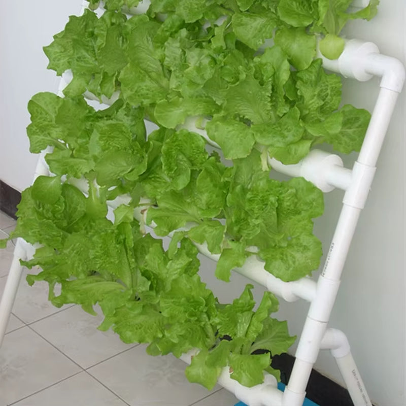 2022 New Complete Vertical Indoor Hydroponic Growing Systems Vertical Type Hydroponic Growing Equipment