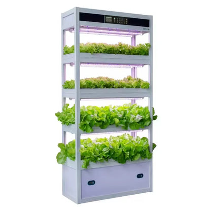 Growing Systems Hydroponic Greenhouse Low Cost Hydroponics Medical Plants Mobile Indoor Plant Vertical Farming Grow System