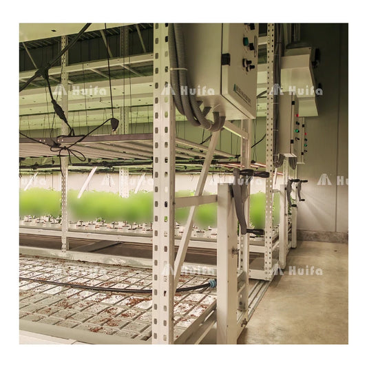 Hydrophonic Growing Tables Garden Farming Vertical Farm Grow Rack Hydroponic System Thailand Grow Rack