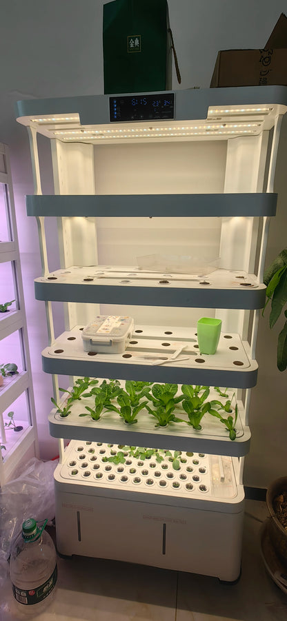 Growing Systems Hydroponic Greenhouse Low Cost Hydroponics Medical Plants Mobile Indoor Plant Vertical Farming Grow System