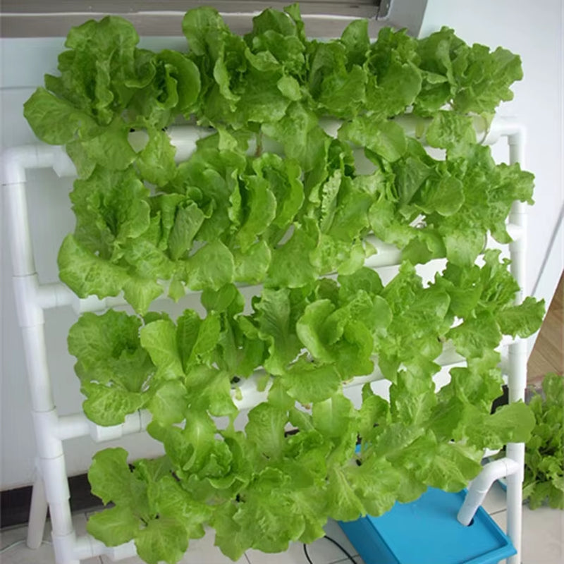 2022 New Complete Vertical Indoor Hydroponic Growing Systems Vertical Type Hydroponic Growing Equipment