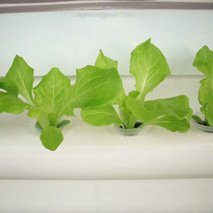 2022 New Complete Vertical Indoor Hydroponic Growing Systems Vertical Type Hydroponic Growing Equipment